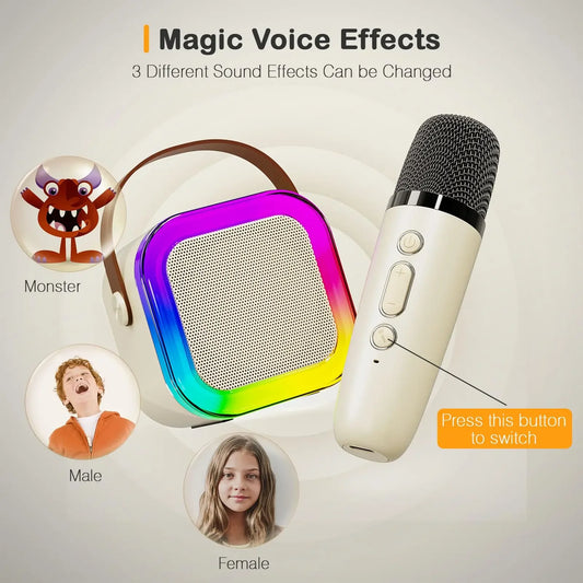 Mini Portable Karaoke Bluetooth Speaker with 2 Mike Audio Integrated Microphone Home Karaoke Wireless Bluetooth Speaker